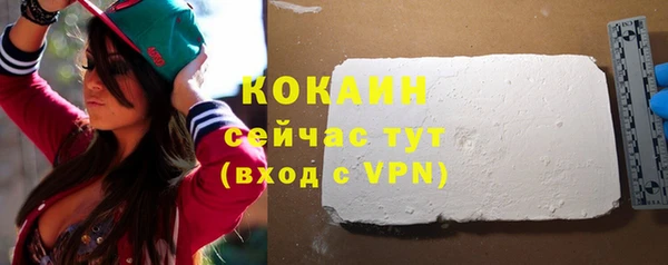 a pvp Бородино