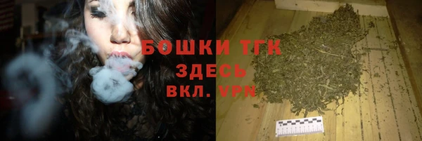 a pvp Бородино