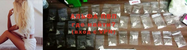 a pvp Бородино