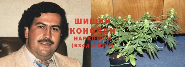 spice Бронницы