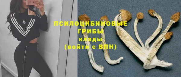 a pvp Бородино
