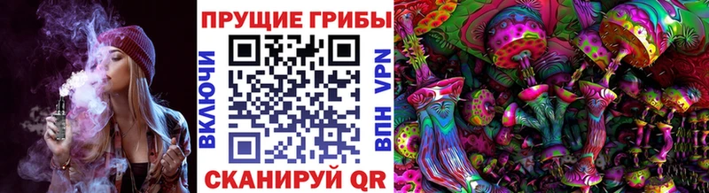 Галлюциногенные грибы GOLDEN TEACHER  Ярославль 